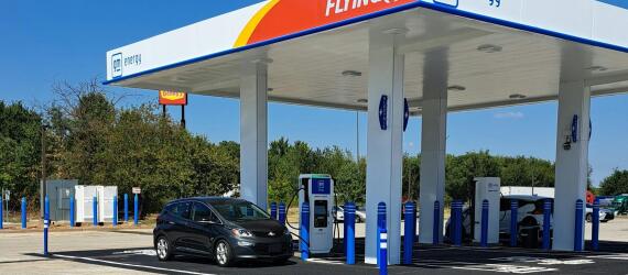 pexels-photo-29653407-4